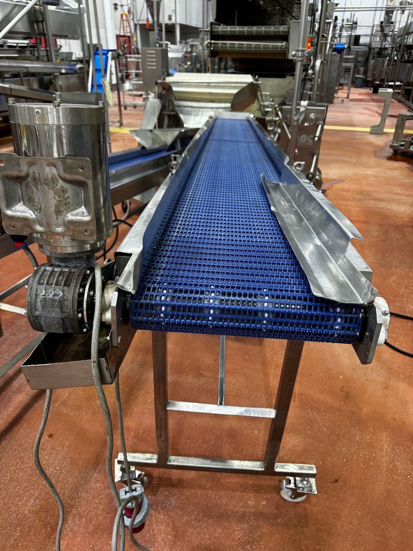 Stainless Steel Frame Slight Incline Conveyor, 14" W x 12' OA Length