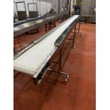 Stainless Steel Frame Incline Conveyor Mounted on Casters,