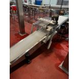 Stainless Steel Frame 16" W x 120" Long Incline Takeaway Conveyor For VFFS