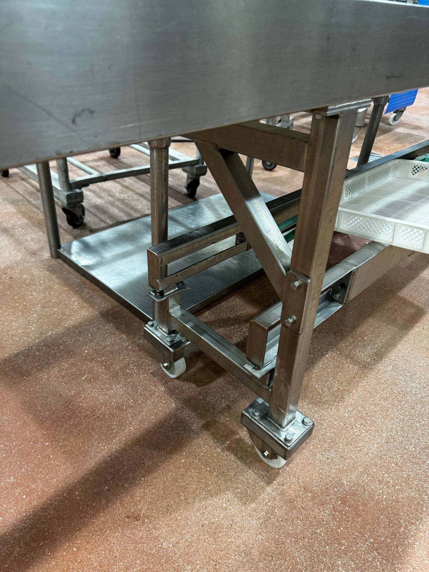 Stainless Steel Frame Conveyor Mounted on Casters, 14"W x 56' OA Length - Image 2 of 4