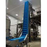 2017 Heat and Control Stainless Steel Frame Incline Sanitary Bucket Elevator, Model CV-BT-UR, 18" W