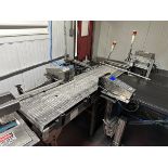 Case Conveyor (No Coders), 18" W x 72" OAL