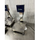 Mettler Toledo SW 300000, 60LB Benchtop Scale, S/N 5314999-5JD | Rig Fee $25