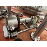 Stainless Steel Positive Displacement Pump - Subj to Bulk | Rig Fee $200