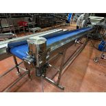 Stainless Steel Frame Incline Conveyor, 14" W x 19' OAL