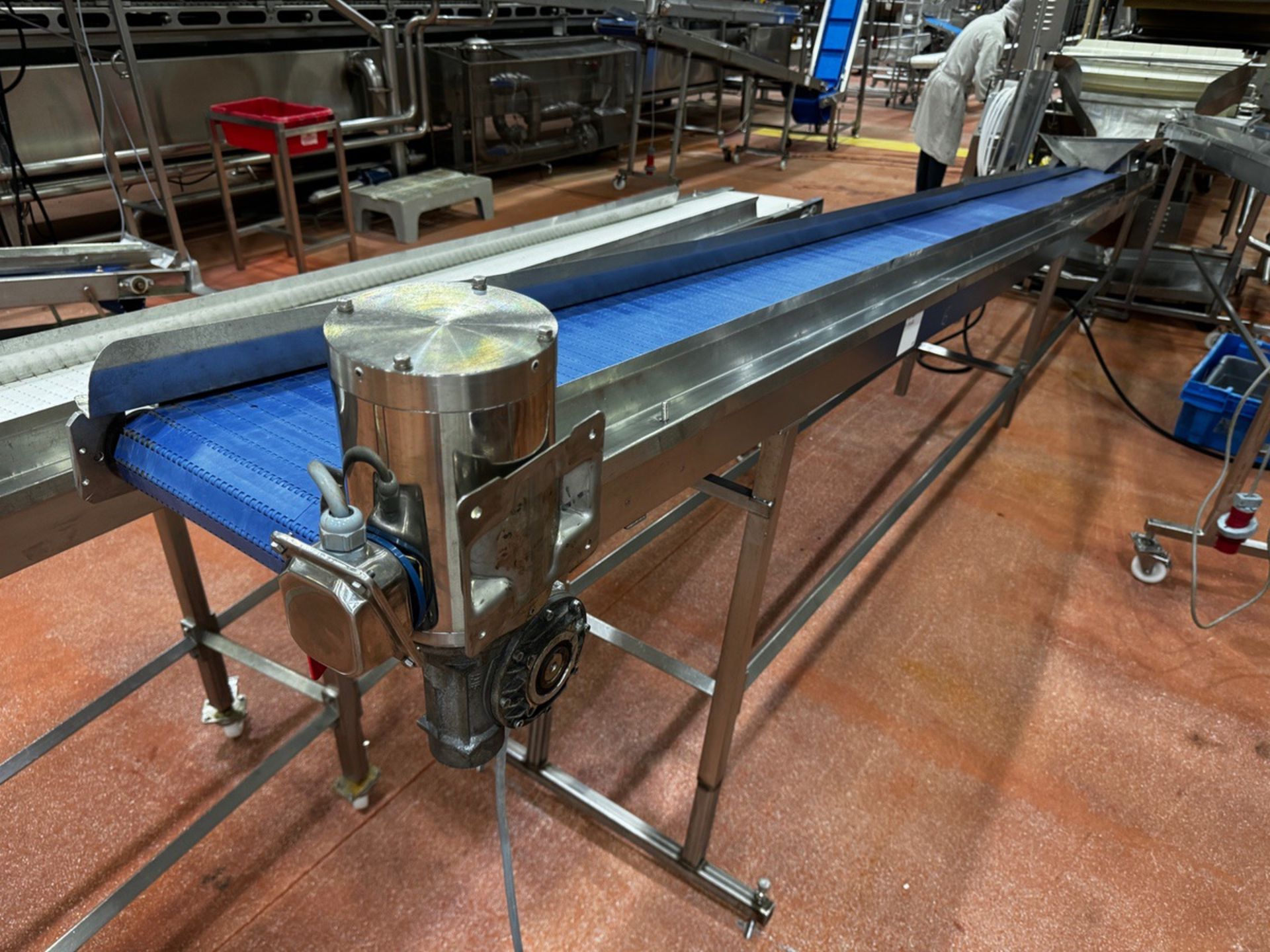 Stainless Steel Frame Incline Conveyor, 14" W x 19' OAL