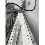 Stainless Steel Frame 12" W x 20 OA Length Conveyor