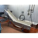 Stainless Steel Frame Incline Conveyor On Casters, Flighted, 10" Belt Width