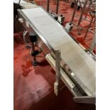 Stainless Steel Frame Incline Takeaway Conveyor From Triangle Bagger