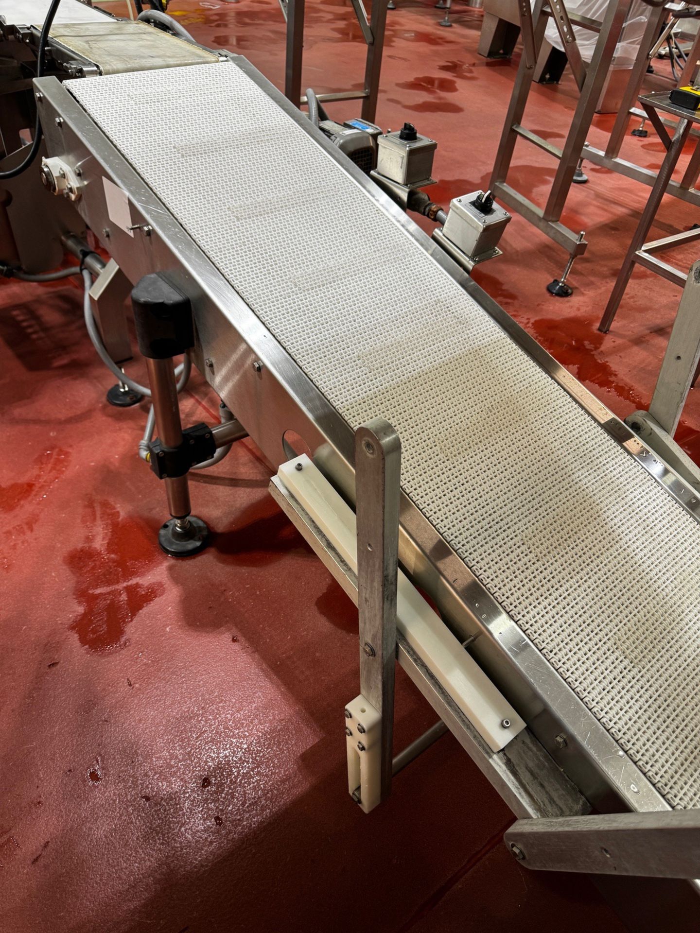 Stainless Steel Frame Incline Takeaway Conveyor From Triangle Bagger