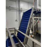 2018 Pavan Stainless Steel Frame Flighted Incline Conveyor, 42" W x 10 - Subj to Bulk | Rig Fee $600