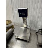 Mettler Toledo SW 300000, 60LB Bench-top Scale, S/N 53141998-5JD