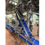 9.5" Stainless Steel Frame Flighted Decline Conveyor - Subj to Bulk | Rig Fee $150