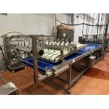 6-Lane Cannellonni Former and 39" Wide Pass Through Conveyor, 196" OA Length, Parchment Paper Dispen