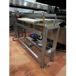 Stainless Steel Frame Vibratory Feed Conveyor for Line 2 Cooker