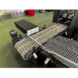 Stainless Steel Frame Case Conveyor with Box Kicker, 16" W x 64" OAL | Rig Fee $150