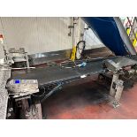 Case Conveyor, 22" W x 10' OAL