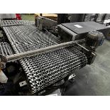 Stainless Steel Frame Incline Case Conveyor with Kicker, 24" W x 52" OAL