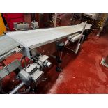 Stainless Steel Frame Takeaway Conveyor, 16" W From Triangle 3 | Rig Fee $150