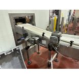Stainless Frame Conveyor to Secondary Packaging, 16" W with Guide Rail, 48" OAL