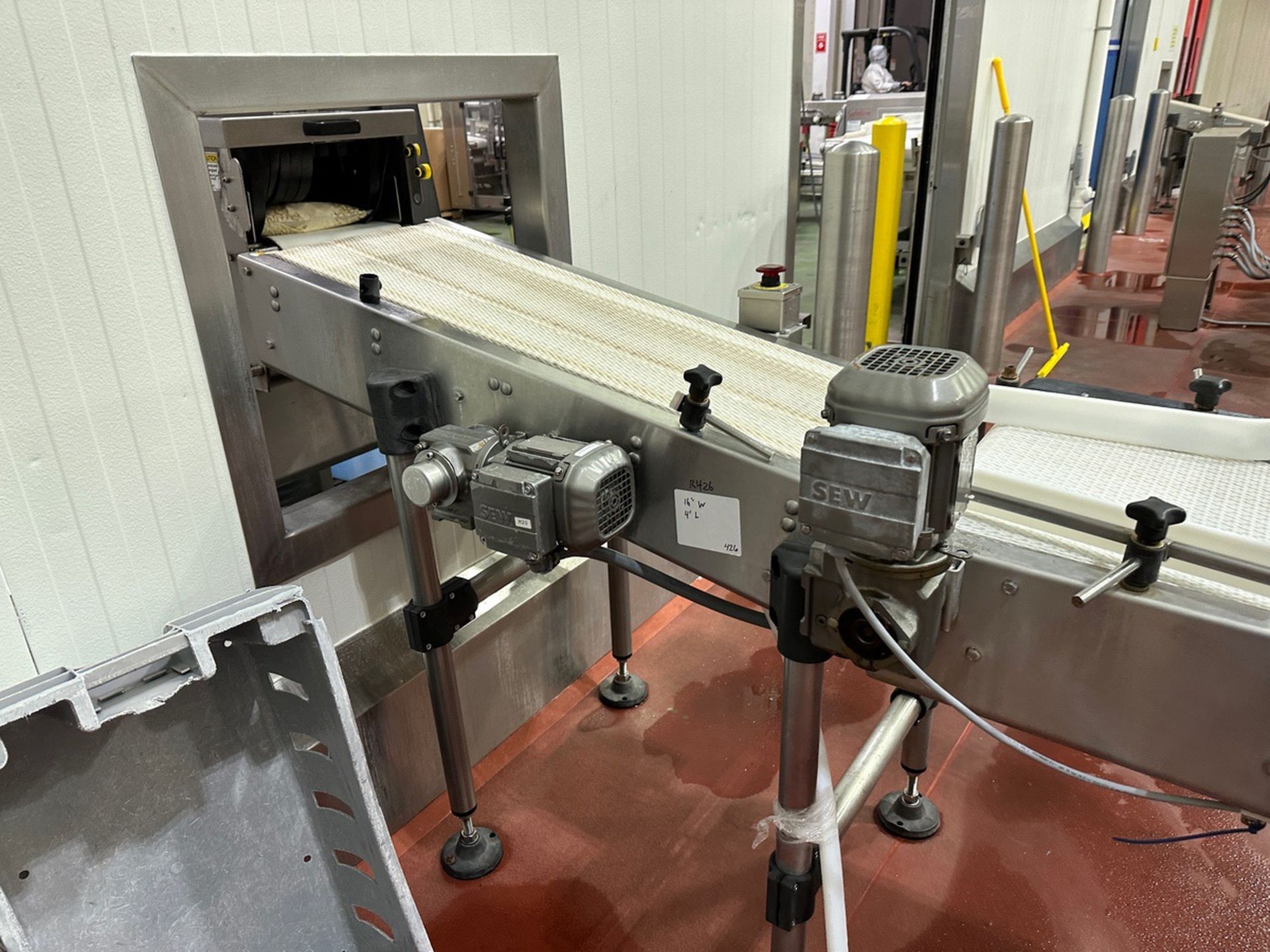 Stainless Frame Conveyor to Secondary Packaging, 16" W with Guide Rail, 48" OAL