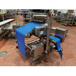 2017 Pasta Technologies RS100 Scrap Return Conveyor, S/N 18804C117