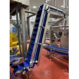 Stainless Steel Frame Incline Flighted Conveyor to Cooker Vibratory Fe - Subj to Bulk | Rig Fee $300