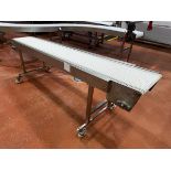 Stainless Steel Frame Conveyor Mounted on Casters, 16" OA Belt W x 106" OA Length