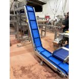 Stainless Steel Z-Frame Flighted Conveyor, Approx 11" W Belt x 76" Ele - Subj to Bulk | Rig Fee $300