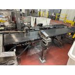 Case Conveyor 24" x 10' OAL | Rig Fee $150