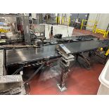 Case Conveyor 24" x 10' OAL