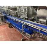 Stainless Steel Frame Mobile Two Level Product Transfer Conveyor, 12" x 22' OAL Top and Bottom