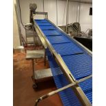 Stainless Steel Frame Incline Flighted Conveyor, Approx 18" W x 16' OAL | Rig Fee $300