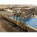 Gemini Divider/Sheeter/Moulding Table (Approx. 42" Belt and 12'6" Long)