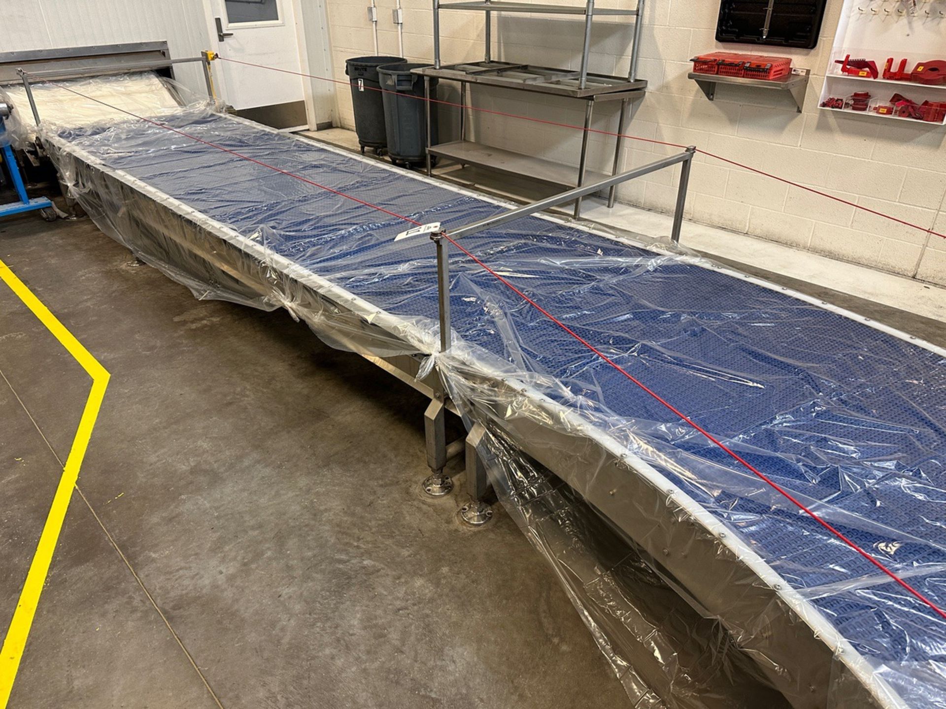 2019 AM Manufacturing Blue Belt Plastic Intralox Conveyor over Stainless Steel Fram | Rig Fee $1500 - Image 2 of 6