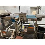 AM Manufacturing Model Dock-It 48 Conveyor from Apache Press to Oven - S/N D48124 ( | Rig Fee $200