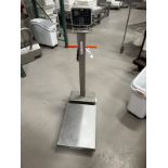 Avery Weigh-Tronix ZM303 Platform Scale with DRO (Approx. 18" x 24" Platform)