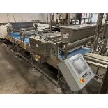 Gemini Divider/Sheeter/Moulding Table (Approx. 41" Belt and 10'6" Long)