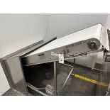 2019 AM Manufacturing Incline Belt Conveyor (Approx. 48" x 10') | Rig Fee $250