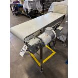 Intralox Belt Conveyor over Stainless Steel Frame with Lenze VFD (Approx. 15.75" x 4')