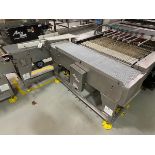 Lot of (2) Arr-Tech Intralox Belt over Stainless Steel Conveyors (Approx. 16" x 4' | Rig Fee $150