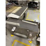 Lot of (2) Arr-Tech Intralox Belt over Stainless Steel Conveyors (Approx. 15" x 4' | Rig Fee $150