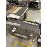 Lot of (2) Arr-Tech Intralox Belt over Stainless Steel Conveyors (Approx. 15" x 4' and 14" x 66")