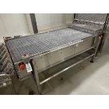 Intralox Multi-Directional Roller Conveyor over Stainless Steel Frame (Approx. 40" | Rig Fee $300