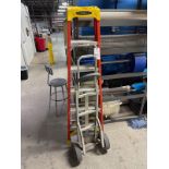 Lot of Werner 6' Fiberglass Step Ladder and Dolly | Rig Fee $75