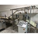 Conveyors with Rollers and Control Panel