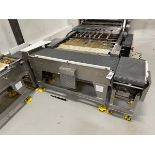 Lot of (3) Arr-Tech Intralox Belt over Stainless Steel Frame Conveyors (Approx. 16" | Rig Fee $200
