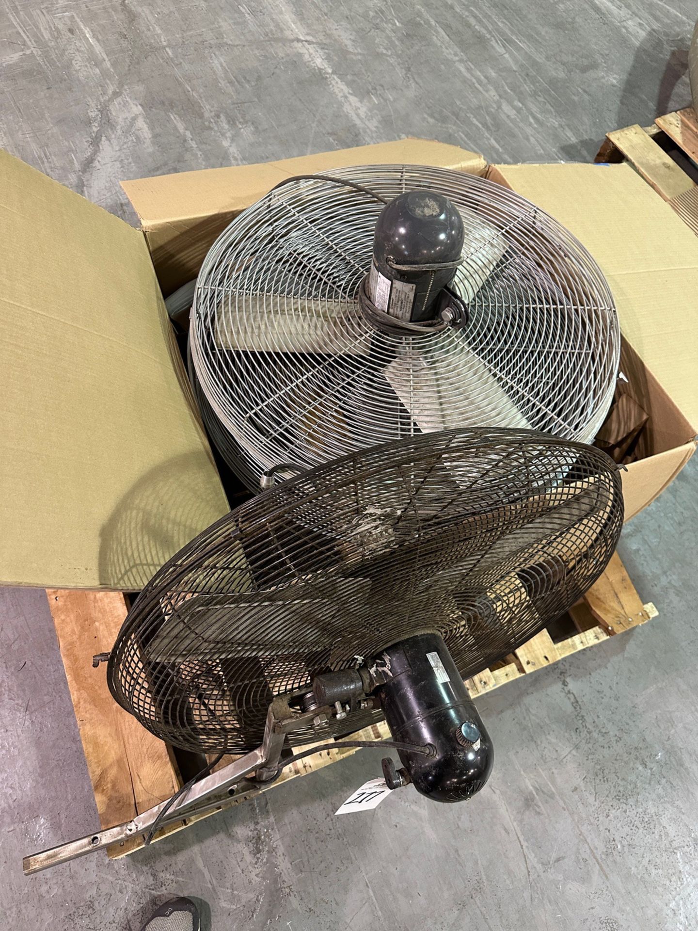 Lot of Fans | Rig Fee $35