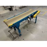 Belt Conveyor (Approx. 18" x 6') | Rig Fee $75