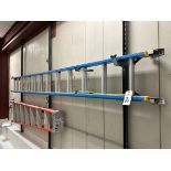 Werner 24' Fiberglass Extension Ladder with 250 LB Capacity | Rig Fee $20